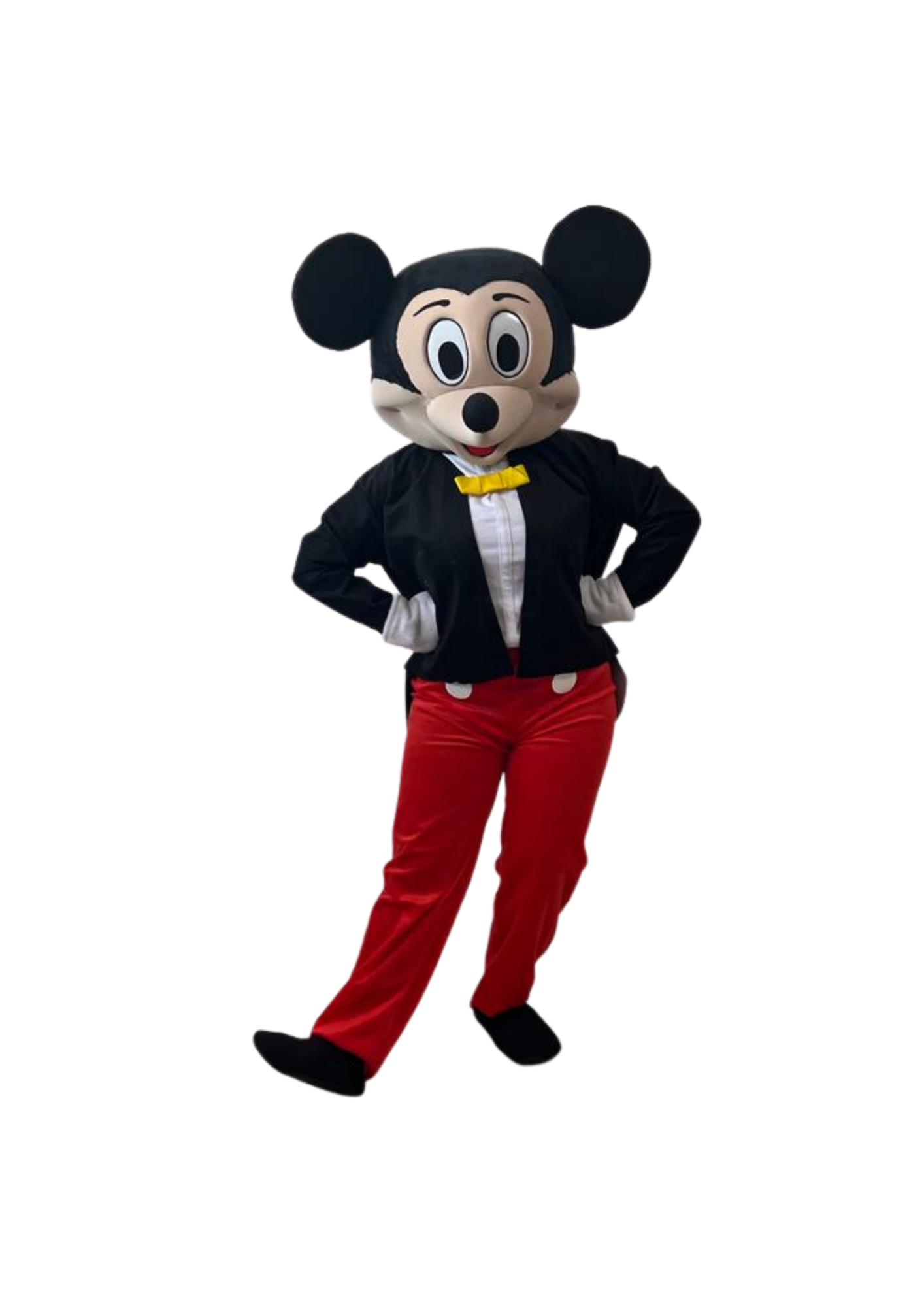 Mascote Mickey 